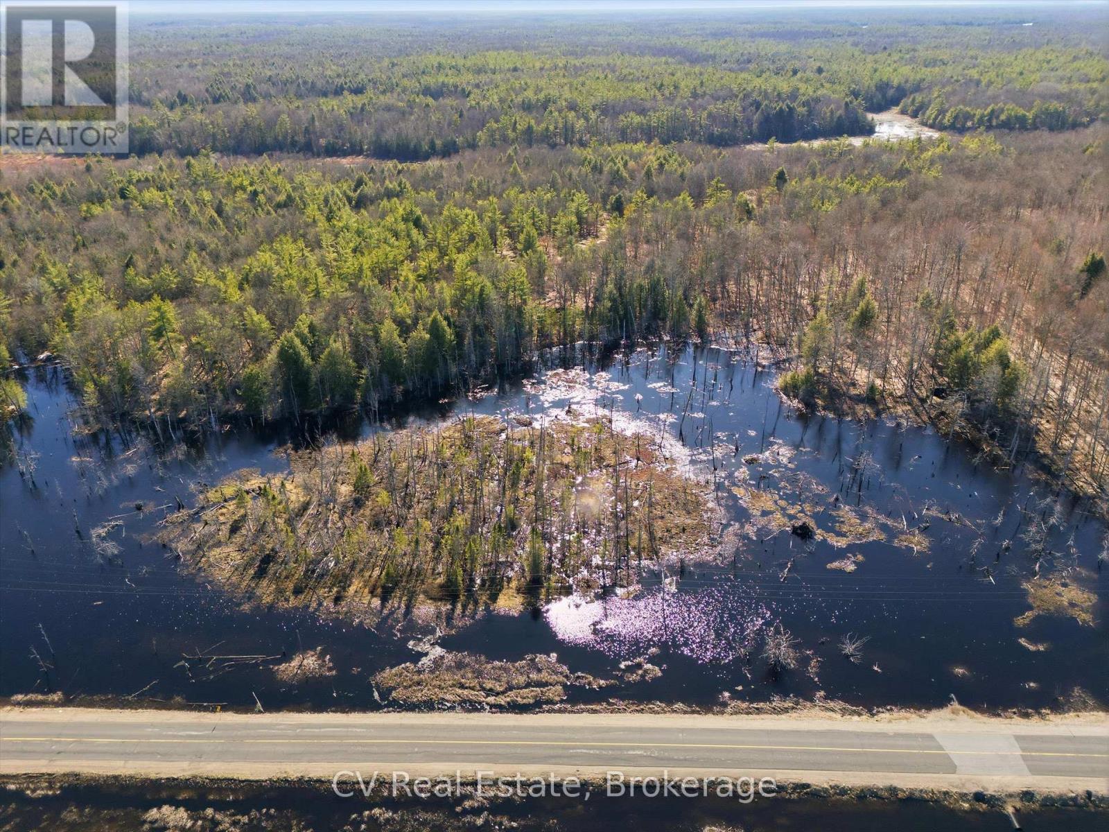 1670 Muskoka Rd 38, Muskoka Lakes, Ontario  P0C 1A0 - Photo 16 - X13022592