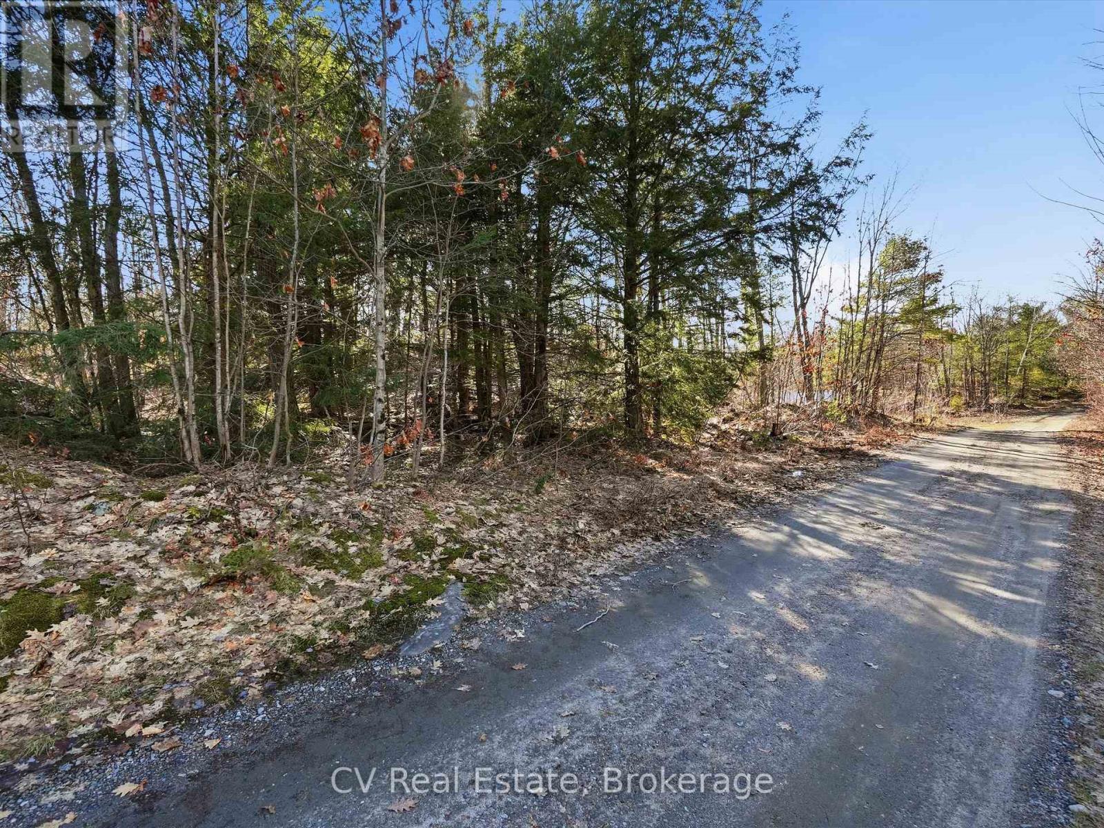 1670 Muskoka Rd 38, Muskoka Lakes, Ontario  P0C 1A0 - Photo 22 - X13022592