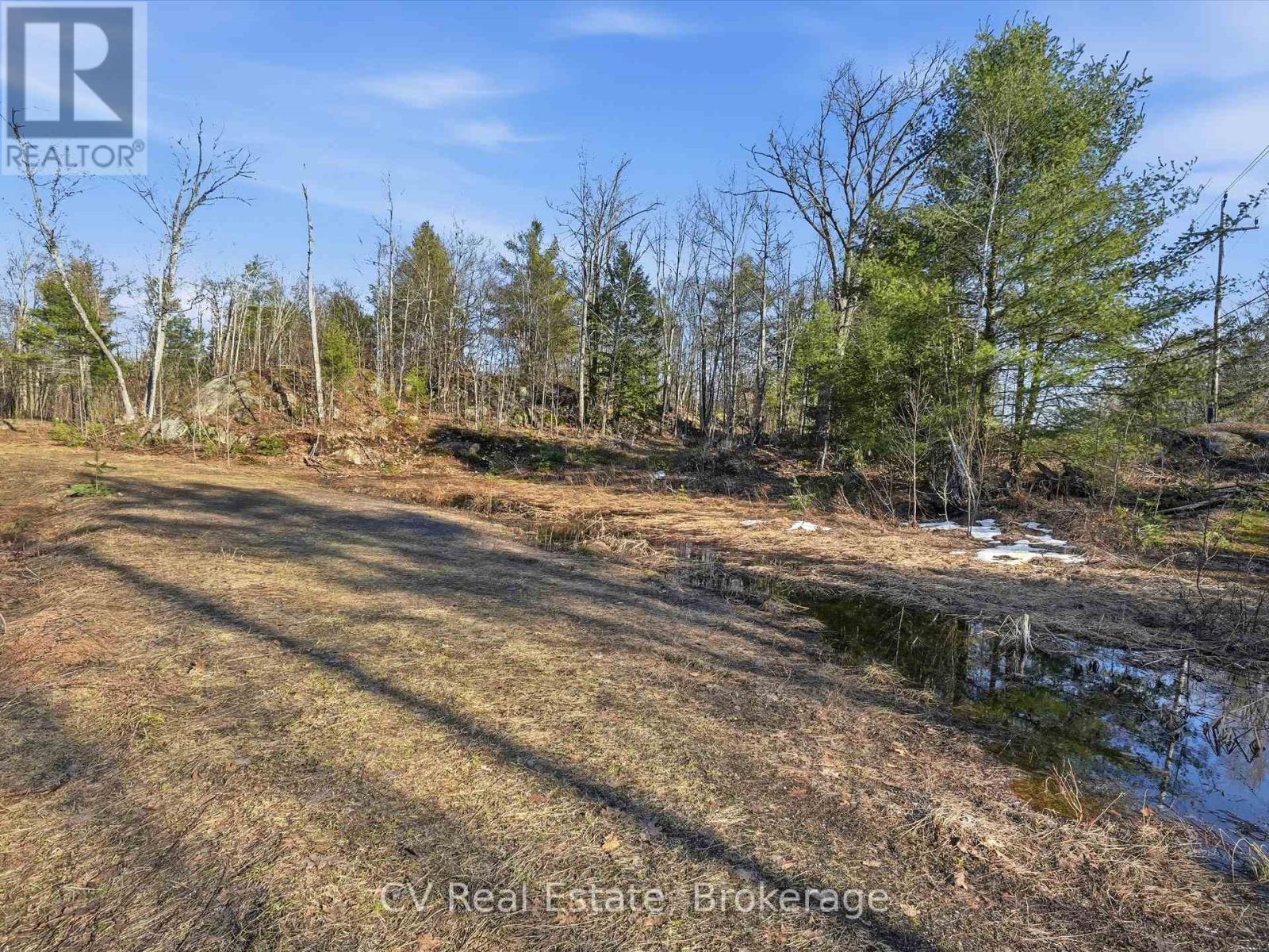 1670 Muskoka Rd 38, Muskoka Lakes, Ontario  P0C 1A0 - Photo 25 - X13022592