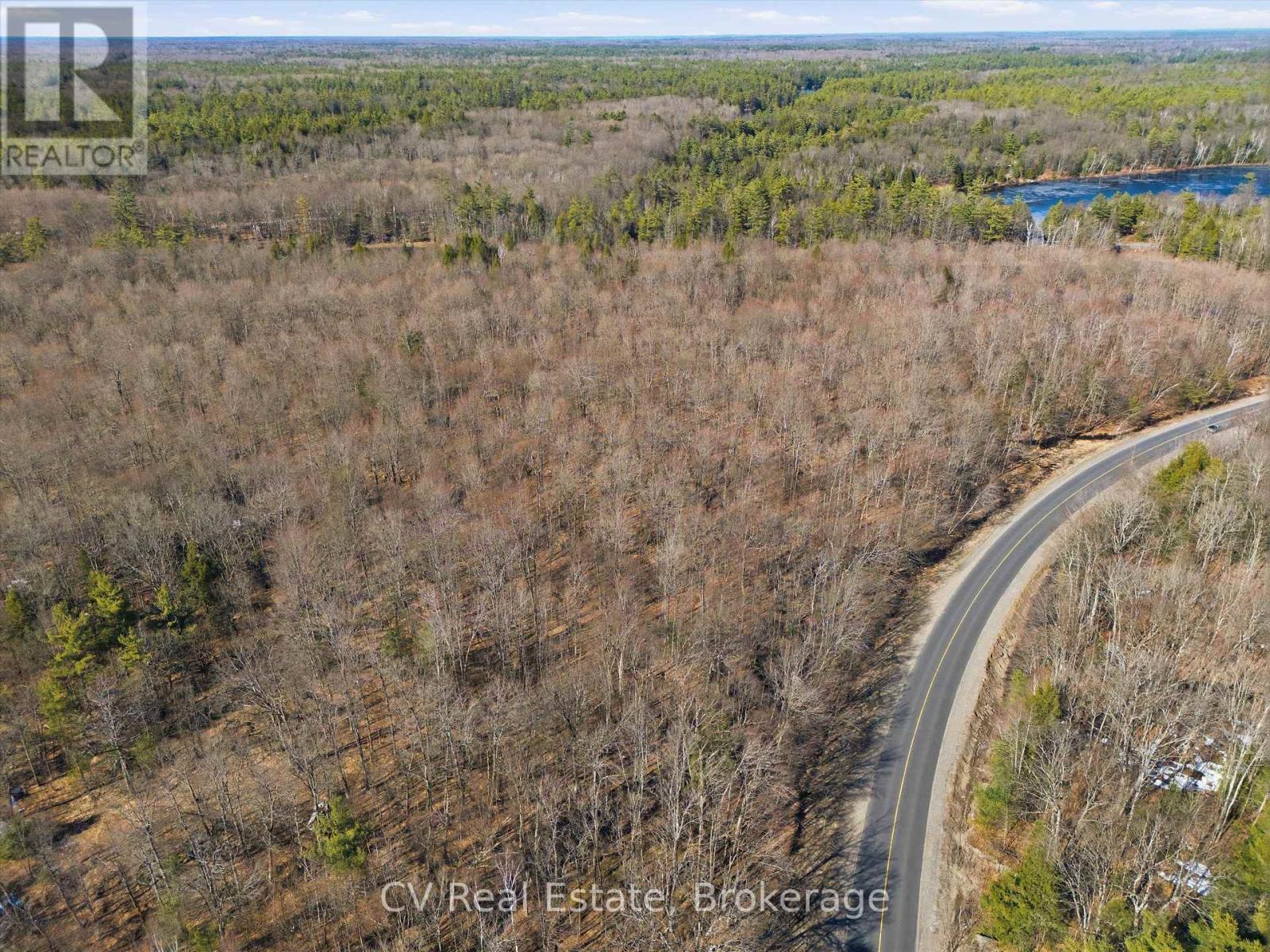 1670 Muskoka Rd 38, Muskoka Lakes, Ontario  P0C 1A0 - Photo 3 - X13022592