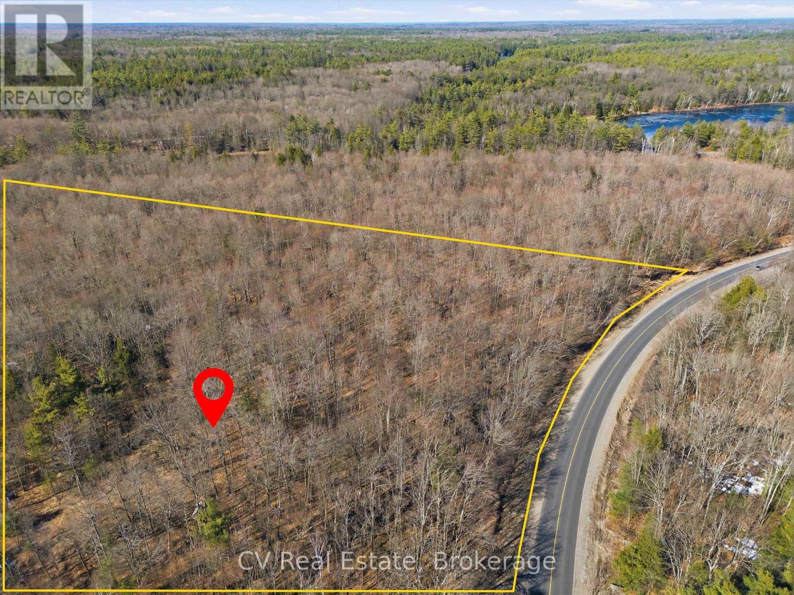 1670 Muskoka Rd 38, Muskoka Lakes, Ontario  P0C 1A0 - Photo 4 - X13022592