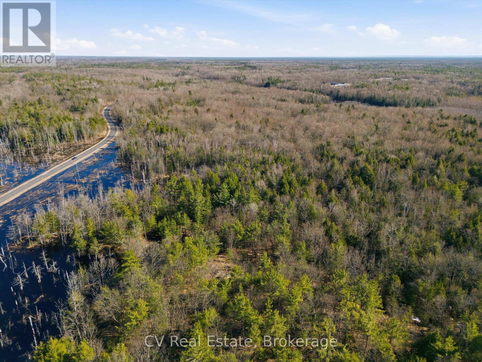 1670 Muskoka Rd 38, Muskoka Lakes, Ontario  P0C 1A0 - Photo 8 - X13022592