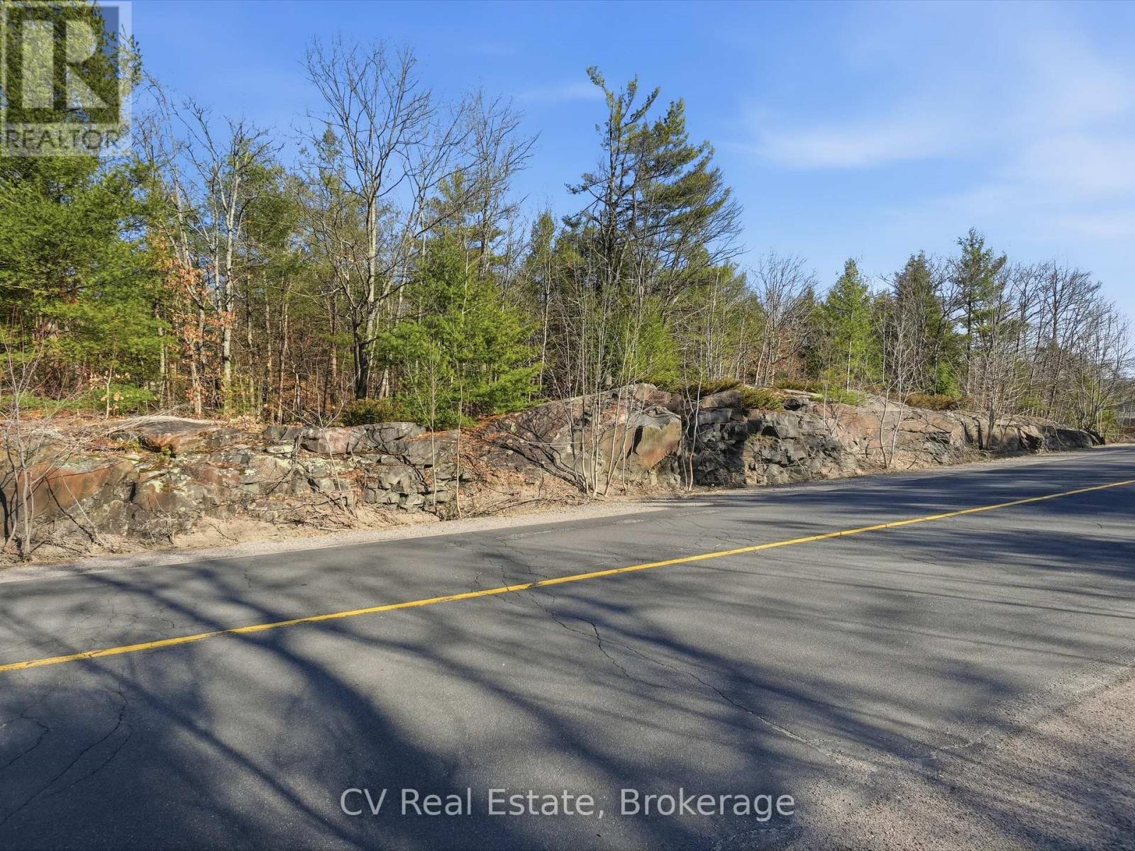 1671 Muskoka Rd 38, Muskoka Lakes, Ontario  P0C 1A0 - Photo 10 - X13022594