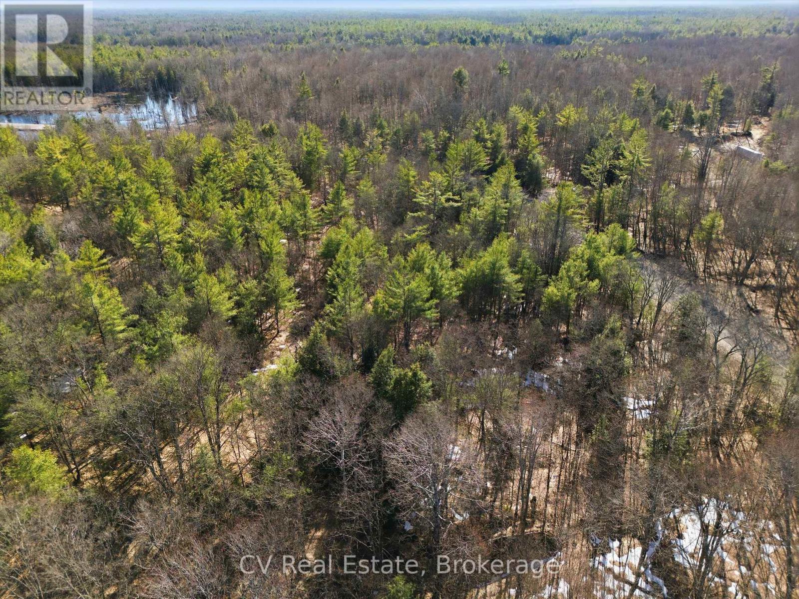 1671 Muskoka Rd 38, Muskoka Lakes, Ontario  P0C 1A0 - Photo 7 - X13022594