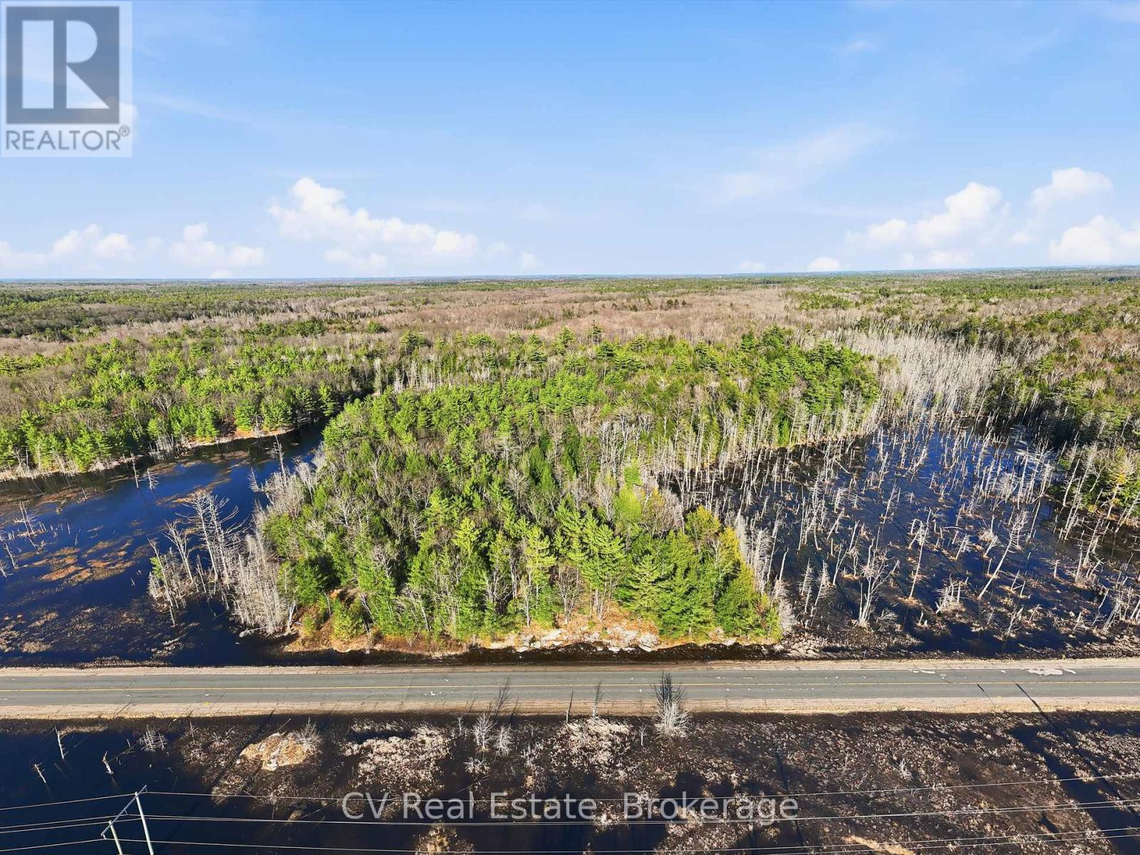 1673 Muskoka Rd 38, Muskoka Lakes, Ontario  P0C 1A0 - Photo 3 - X13022596