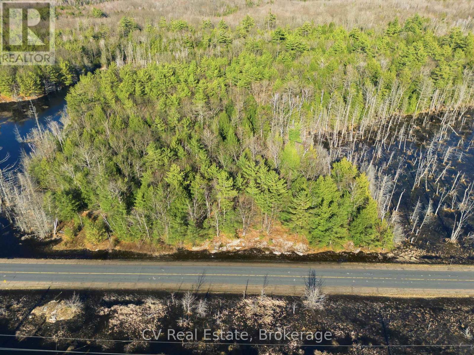 1673 Muskoka Rd 38, Muskoka Lakes, Ontario  P0C 1A0 - Photo 4 - X13022596