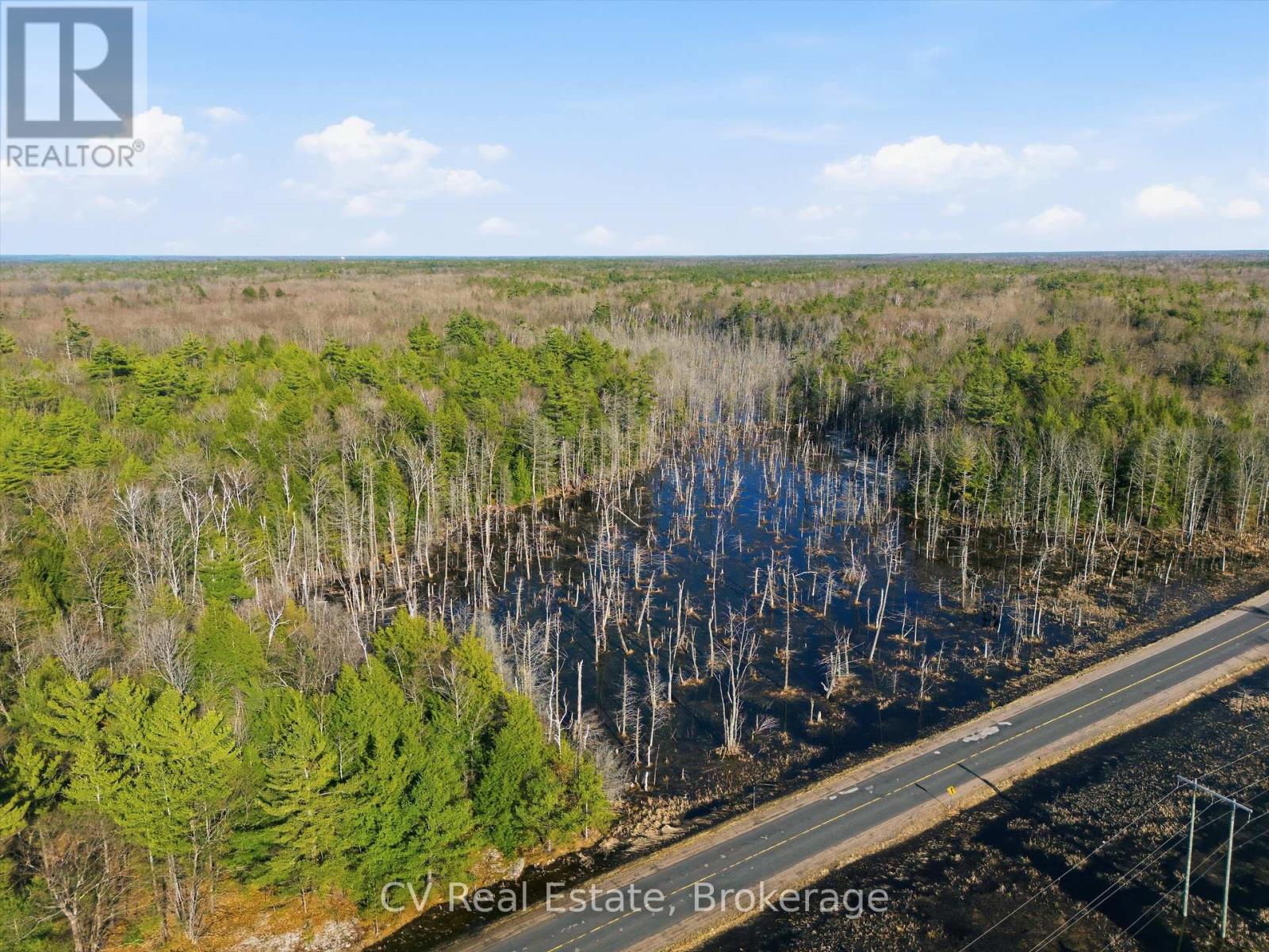 1673 Muskoka Rd 38, Muskoka Lakes, Ontario  P0C 1A0 - Photo 6 - X13022596