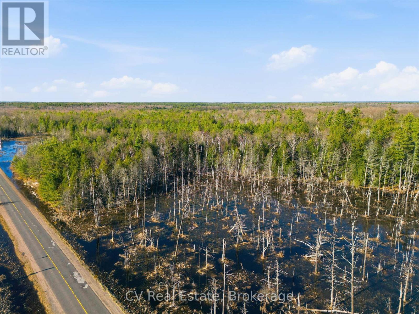 1673 Muskoka Rd 38, Muskoka Lakes, Ontario  P0C 1A0 - Photo 9 - X13022596