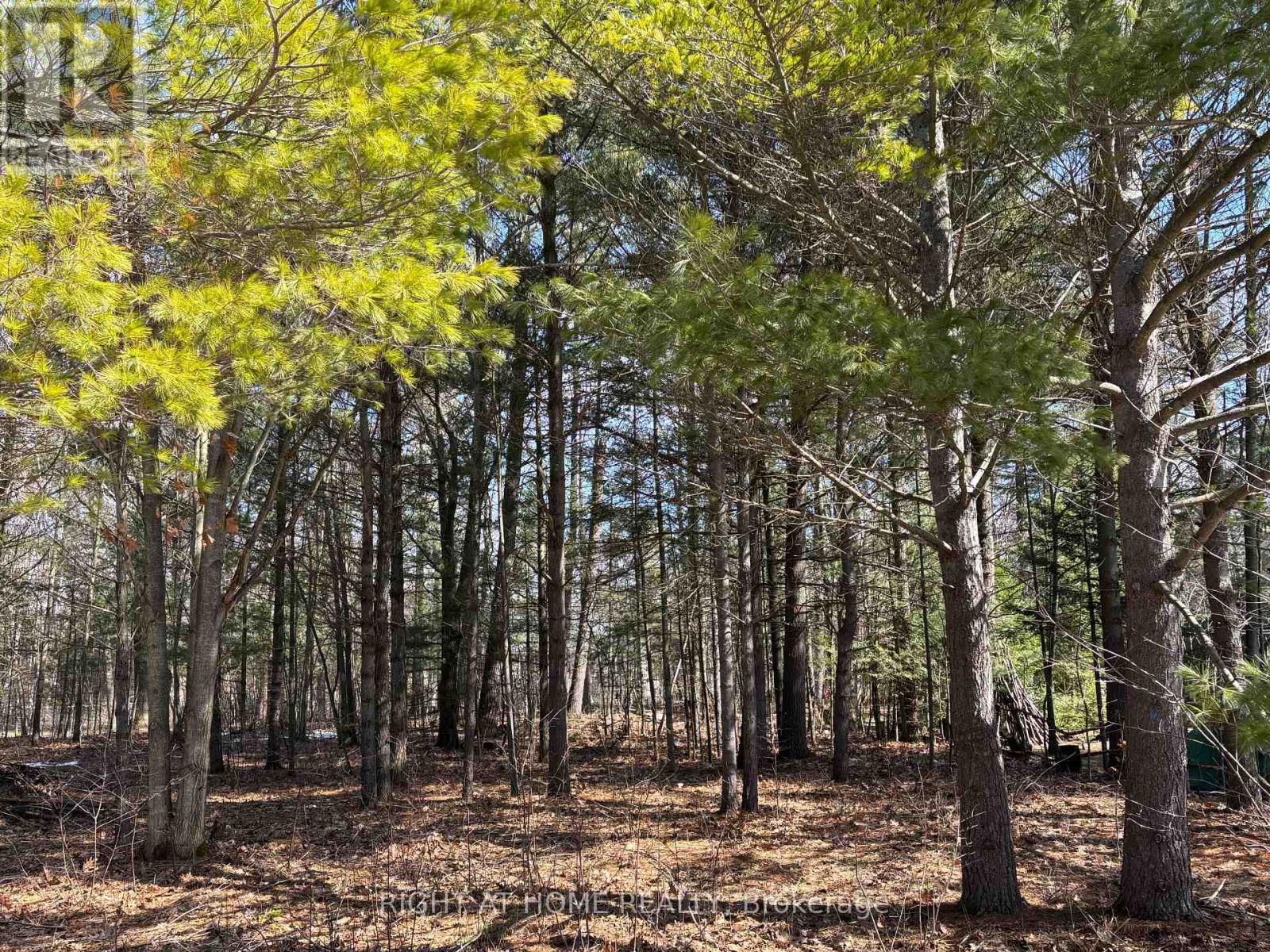 137 NICOLE BOULEVARD, Tiny, Ontario