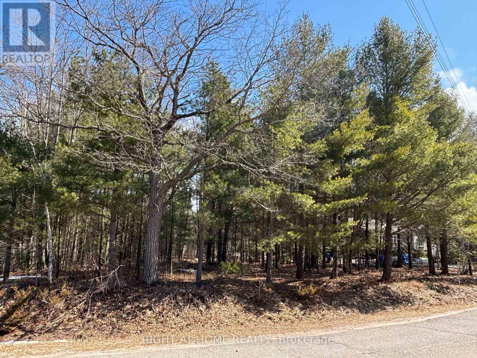 137 Nicole Boulevard, Tiny, Ontario  L0L 2T0 - Photo 2 - S13022660