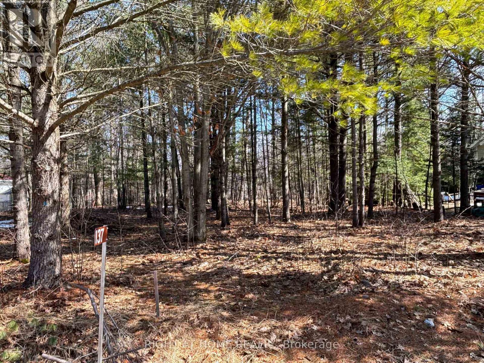 137 Nicole Boulevard, Tiny, Ontario  L0L 2T0 - Photo 3 - S13022660