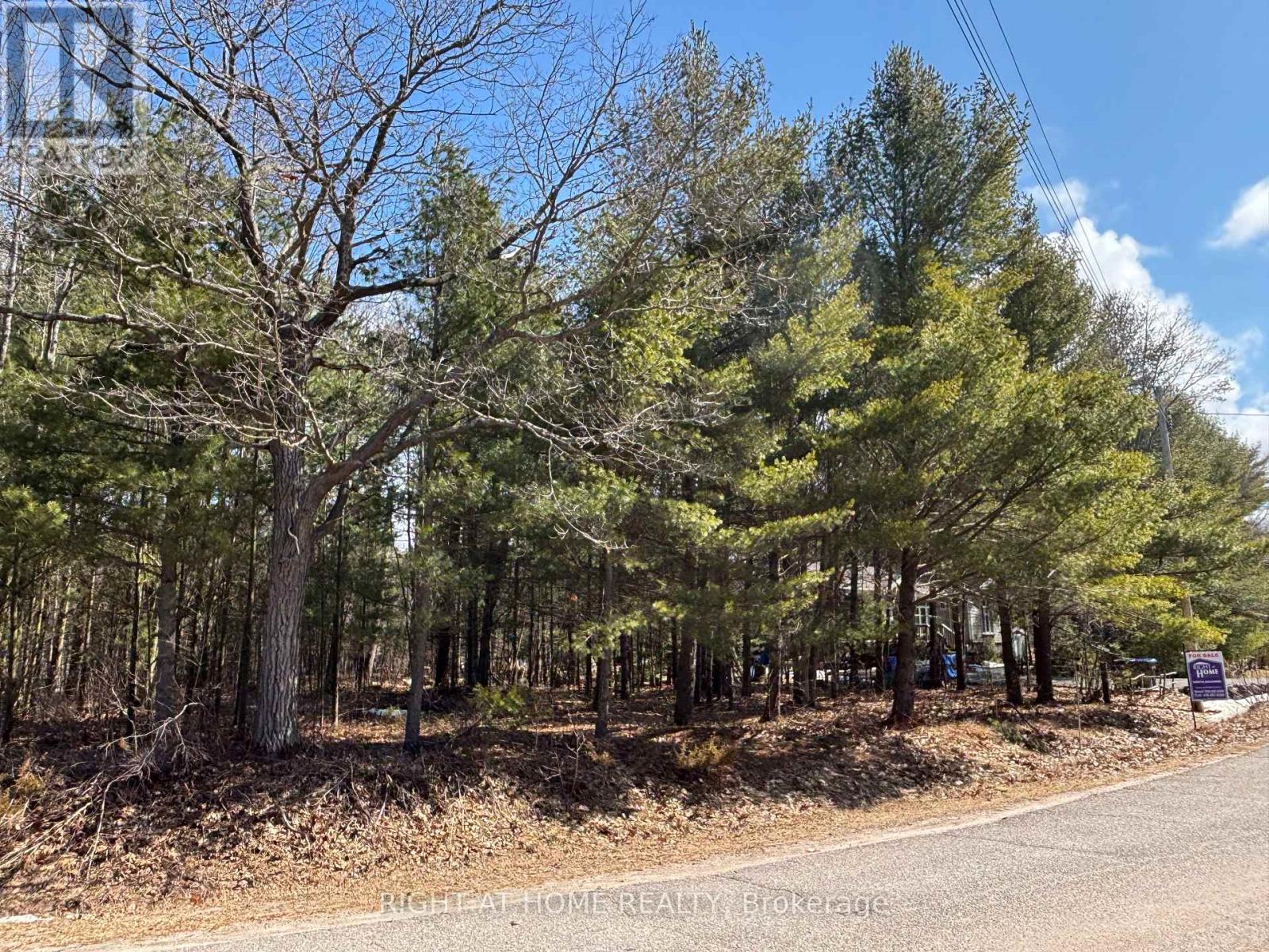 137 Nicole Boulevard, Tiny, Ontario  L0L 2T0 - Photo 4 - S13022660