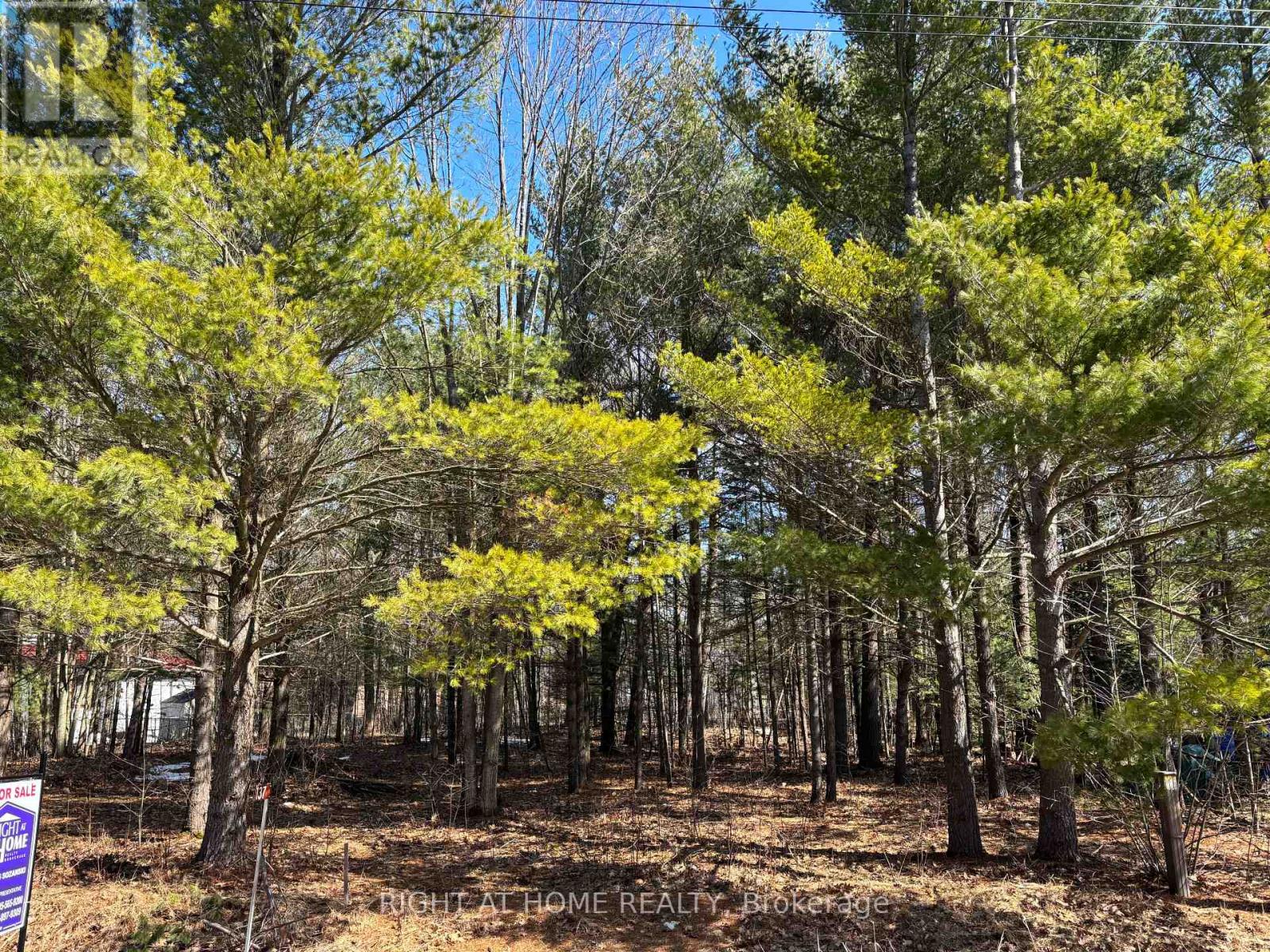 137 Nicole Boulevard, Tiny, Ontario  L0L 2T0 - Photo 5 - S13022660