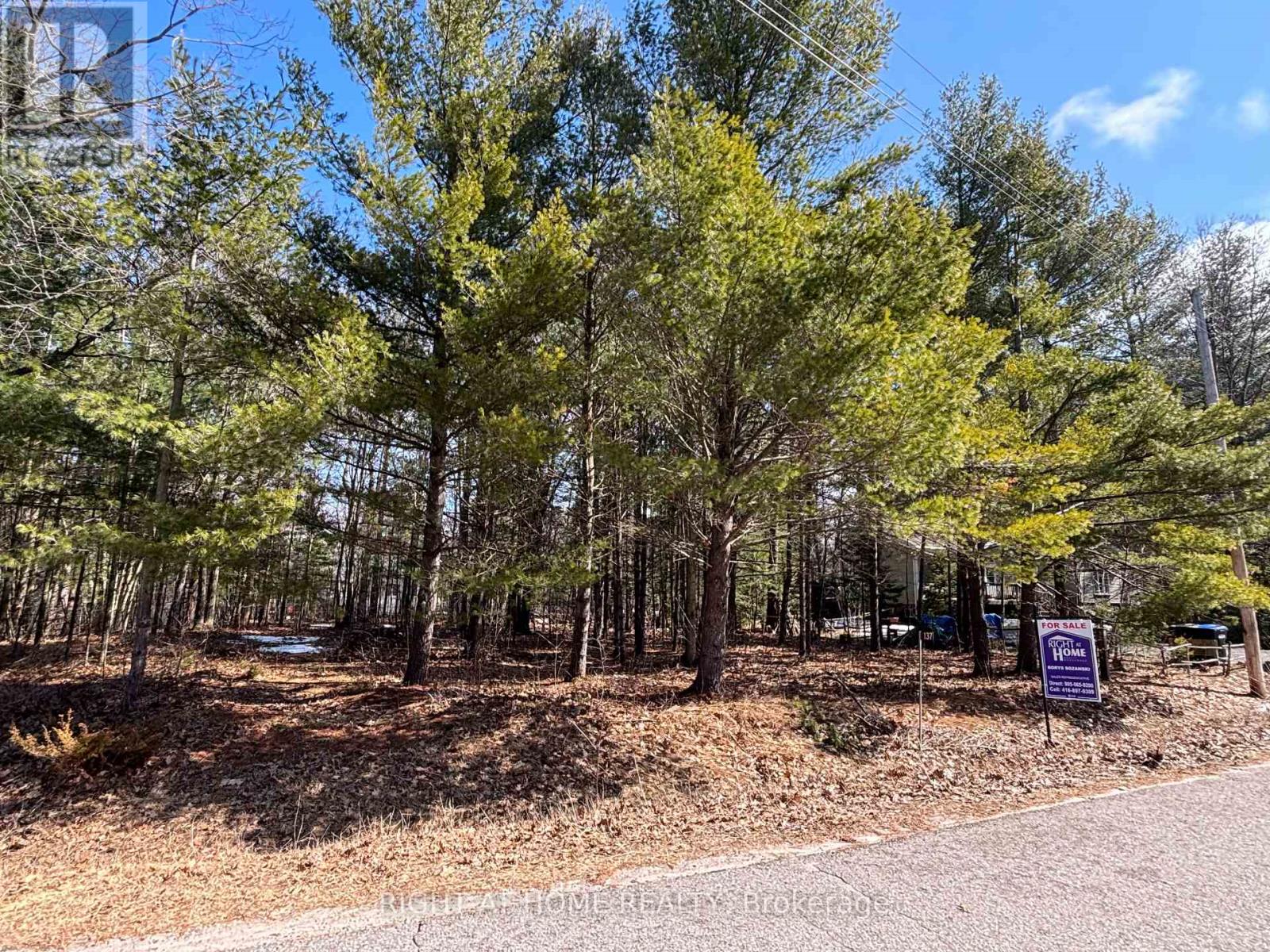 137 Nicole Boulevard, Tiny, Ontario  L0L 2T0 - Photo 7 - S13022660