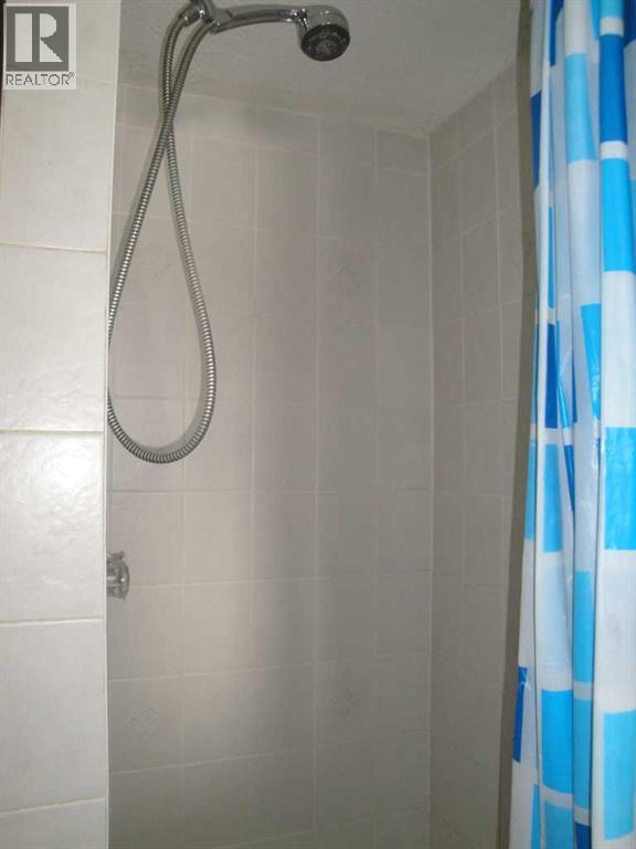 88 Abingdon Court NE, Calgary, Alberta  T2A 6S5 - Photo 25 - A2289712