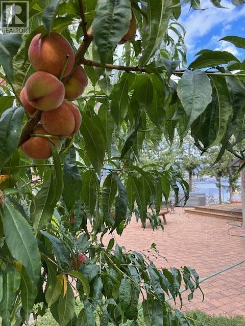 5715 Lakeshore Road, Kelowna, British Columbia  V1W 4J5 - Photo 50 - 10373169