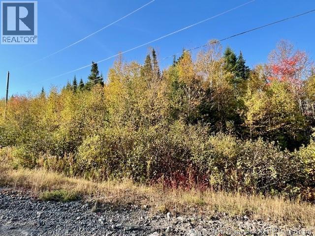 20 Saddlebrook Court, Saint John, New Brunswick  E2N 1G9 - Photo 4 - NB127990