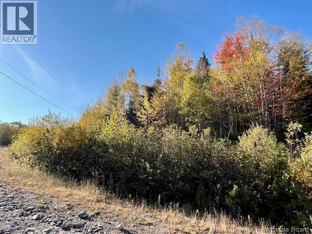 20 Saddlebrook Court, saint john, New Brunswick