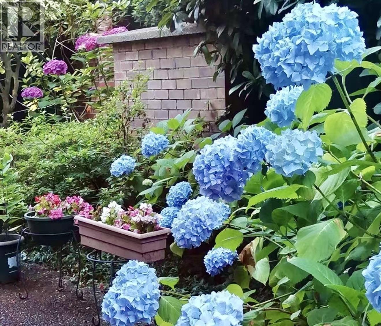 101 7231 Antrim Avenue, Burnaby, British Columbia  V5J 5H5 - Photo 1 - R3113280