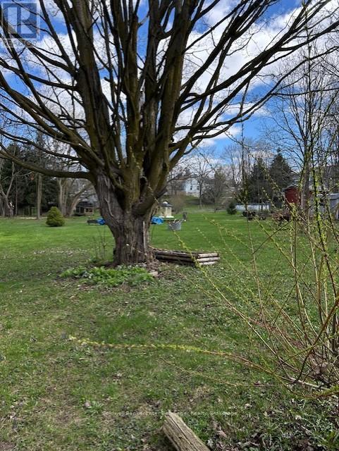 521 Mill Street, West Grey, Ontario  N0G 2M0 - Photo 12 - X12864336