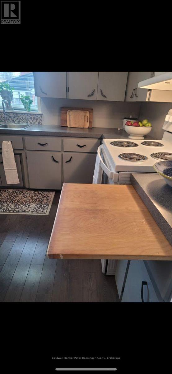 521 Mill Street, West Grey, Ontario  N0G 2M0 - Photo 17 - X12864336