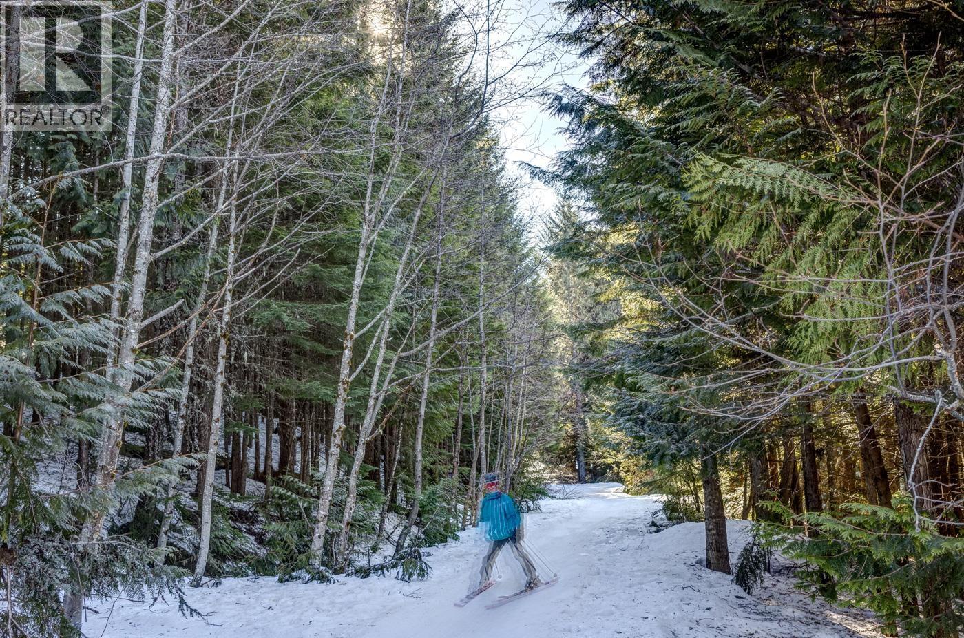 414 4809 Spearhead Drive, Whistler, British Columbia  V0N 1B0 - Photo 25 - R3113620