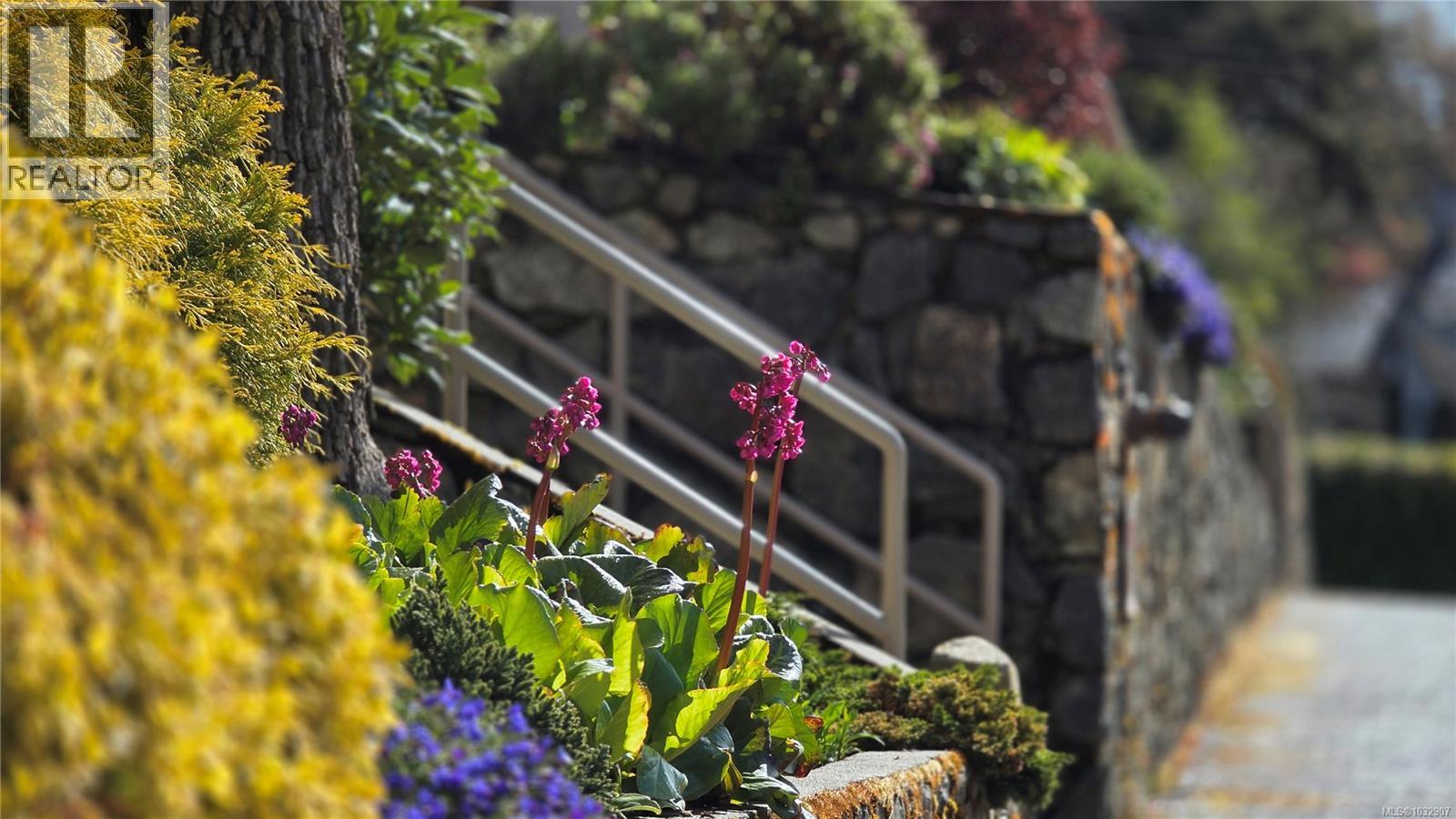 101 3400 Quadra St, Saanich, British Columbia  V8X 1G6 - Photo 62 - 1032907