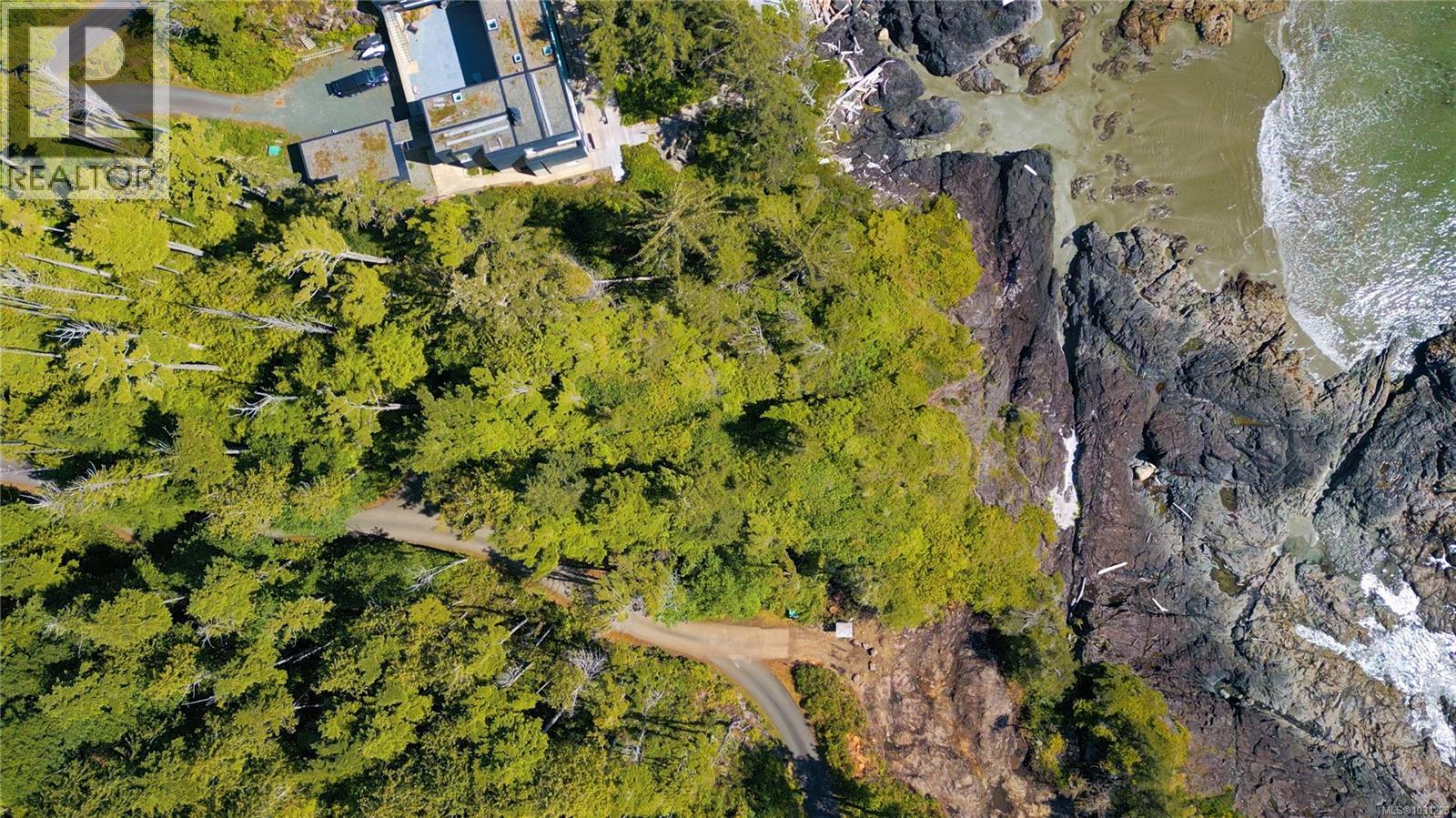 871 Moser Pl, Tofino, British Columbia  V0R 2Z0 - Photo 6 - 1031223