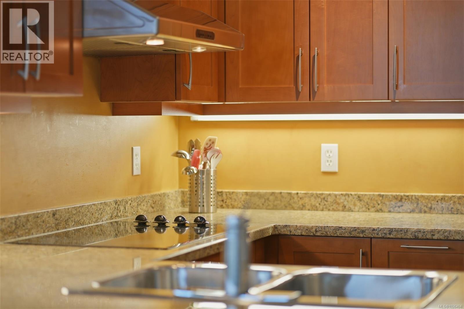 609 827 Fairfield Rd, Victoria, British Columbia  V8V 5B2 - Photo 14 - 1026494