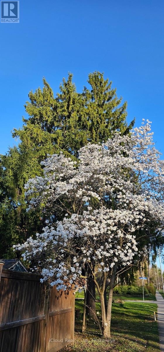 36 - 36 Dawson Crescent, Brampton, Ontario  L6V 3M5 - Photo 22 - W13017484