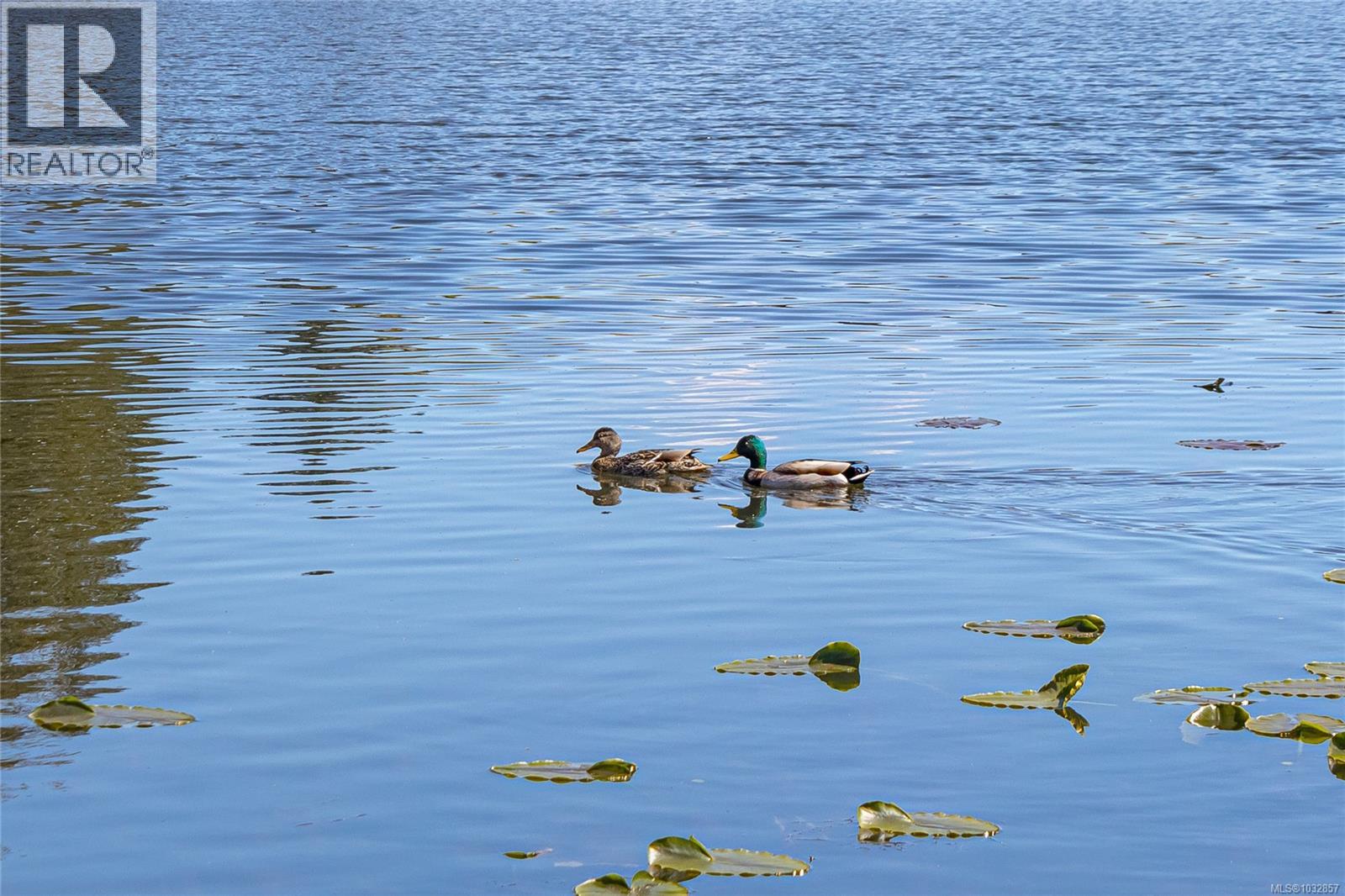 2172 Dockside Way, Nanaimo, British Columbia  V9Y 6T7 - Photo 68 - 1032857