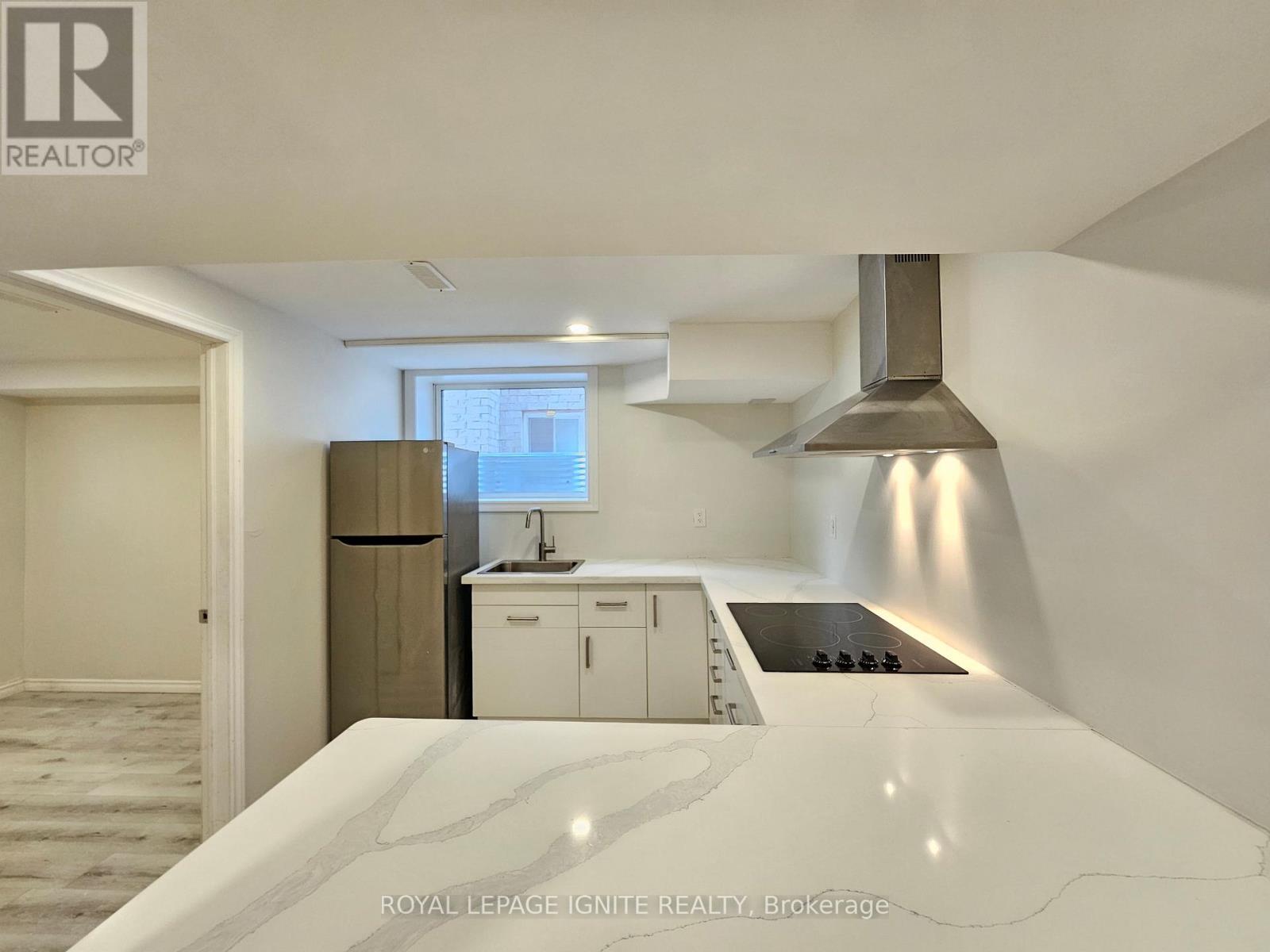 Bsmt - 669 Sweetwater Crescent, Newmarket, Ontario  L3X 0H6 - Photo 5 - N13022906