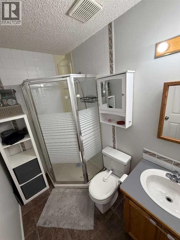 318 Strathford Crescent, Strathmore, Alberta  T1P 1N9 - Photo 22 - A2291394