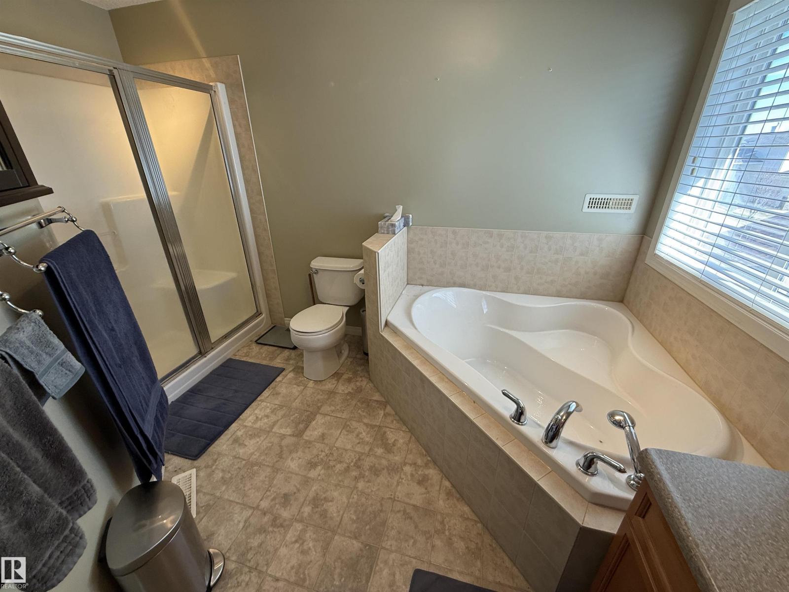 21113 92a Av NW, Edmonton, Alberta  T5T 6Z2 - Photo 21 - E4481482