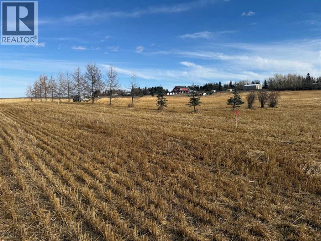 Lot 1 128 Street E, Rural Foothills County, Alberta  T1S 5G1 - Photo 6 - A2285553