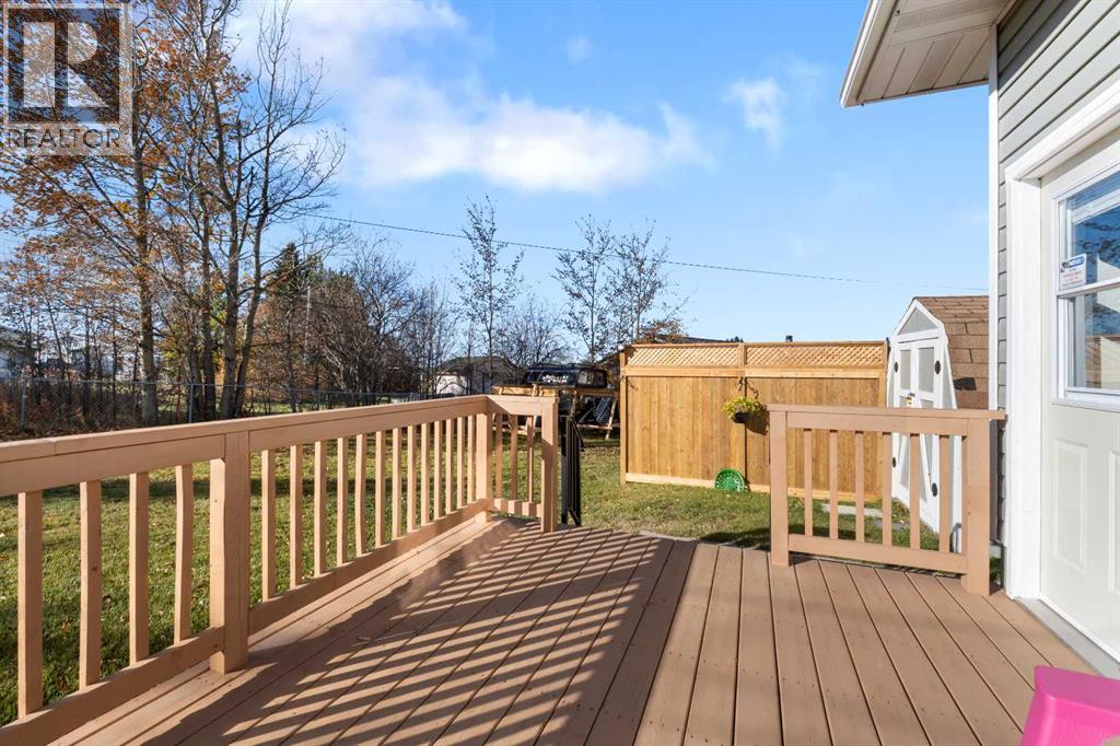 3 Isbister Avenue, Swan Hills, Alberta  T0G 2C0 - Photo 8 - A2297587