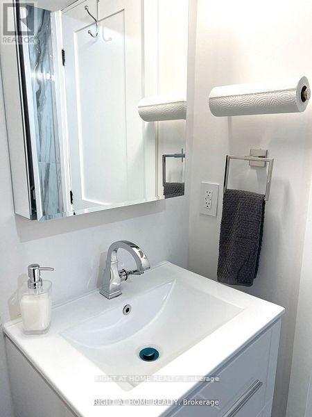 Lower L - 115 Bonny Meadows Drive, Aurora, Ontario  L4G 6N1 - Photo 17 - N13023130