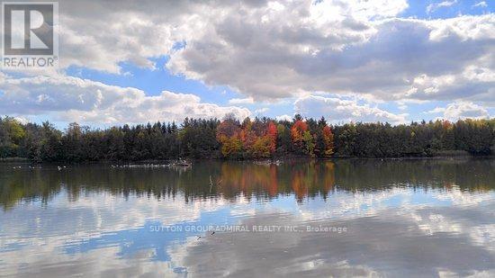 75 James Scott Road, Markham, Ontario  L3P 7W6 - Photo 41 - N13023280