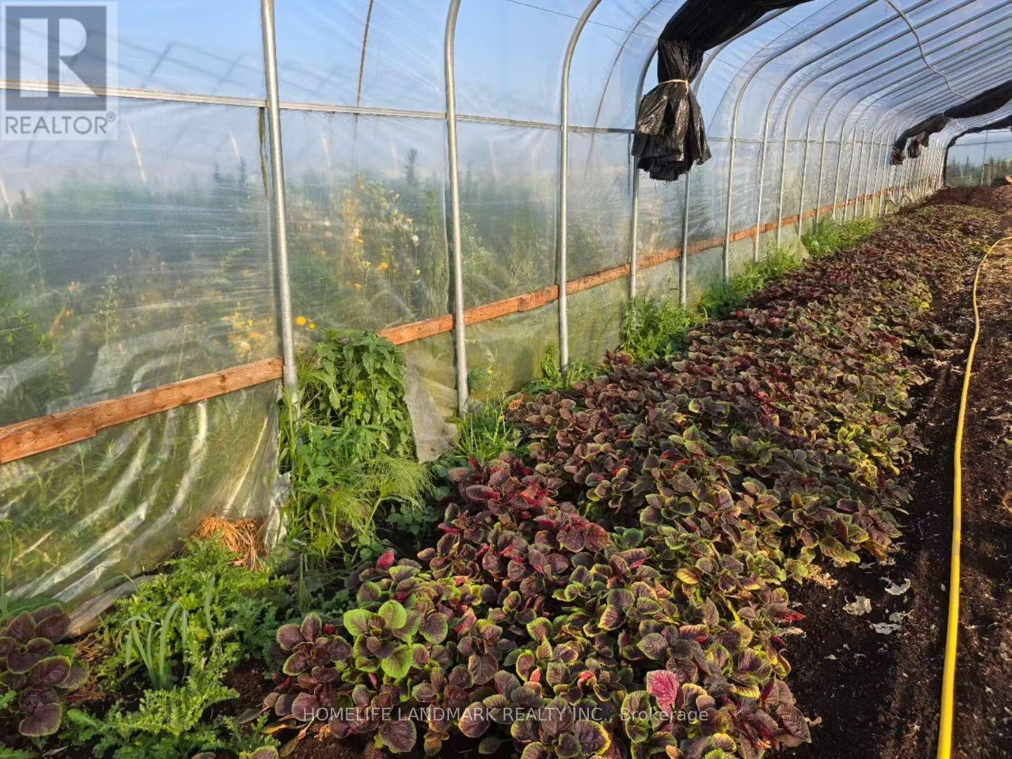 110 Aileen Avenue, King, Ontario  L3Y 4V9 - Photo 5 - N12781950