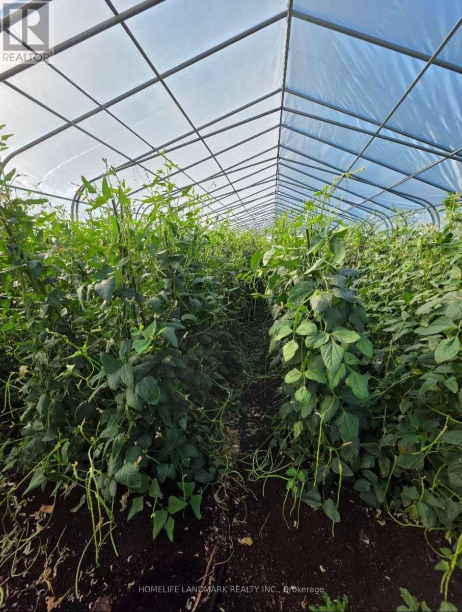 110 Aileen Avenue, King, Ontario  L3Y 4V9 - Photo 6 - N12781950