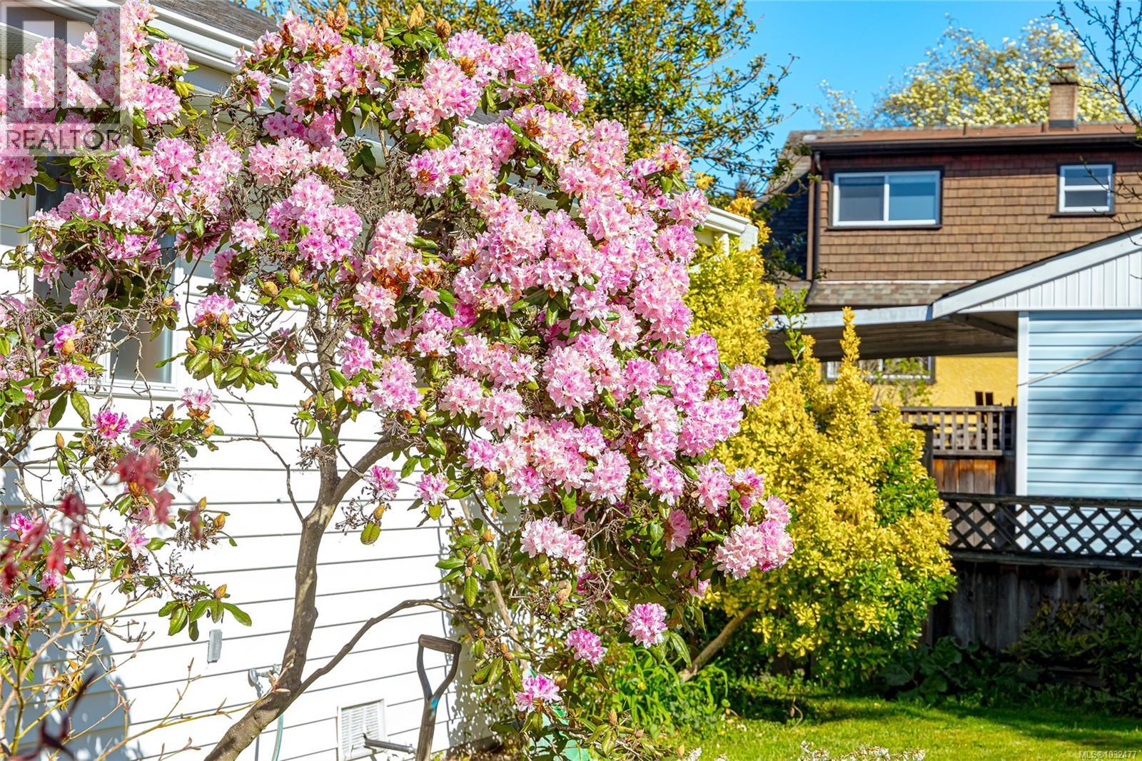 377 Campbell St, Duncan, British Columbia  V9L 3H7 - Photo 32 - 1032477