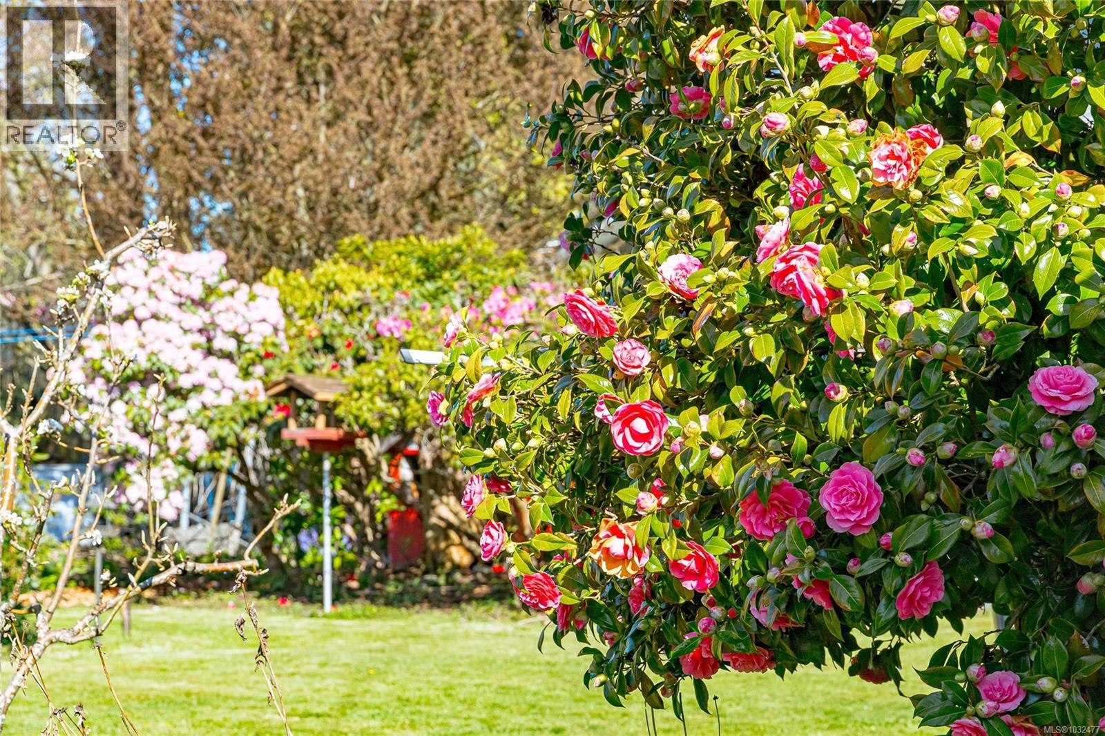 377 Campbell St, Duncan, British Columbia  V9L 3H7 - Photo 33 - 1032477