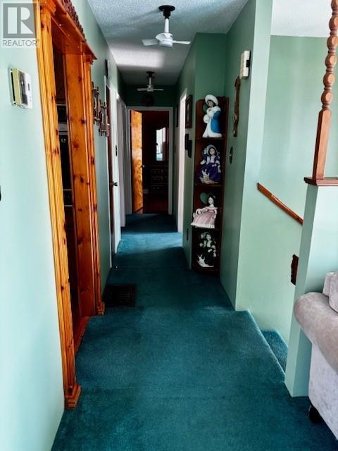 2 Mcwhirters Lane, Corner Brook, Newfoundland & Labrador  A2H 1Y3 - Photo 15 - 1296252