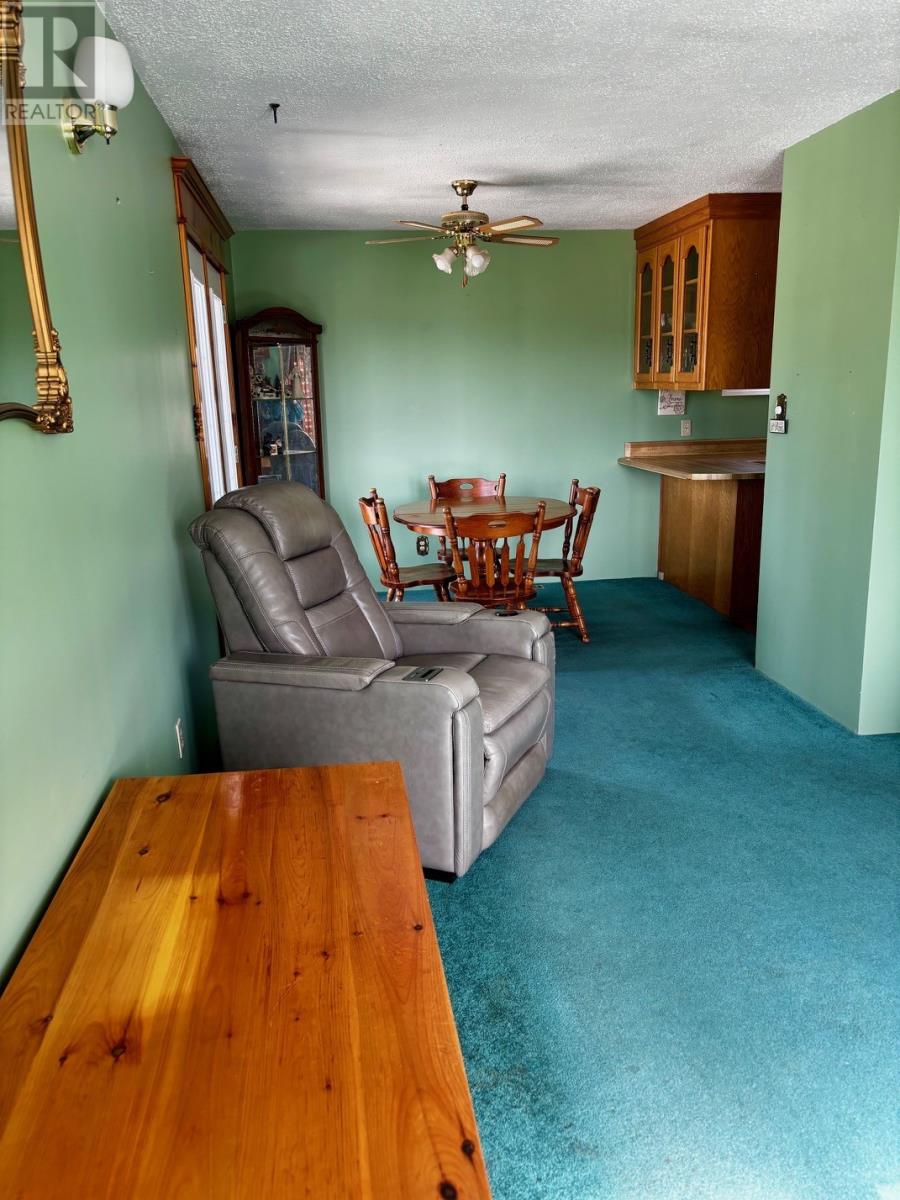 2 Mcwhirters Lane, Corner Brook, Newfoundland & Labrador  A2H 1Y3 - Photo 14 - 1296252