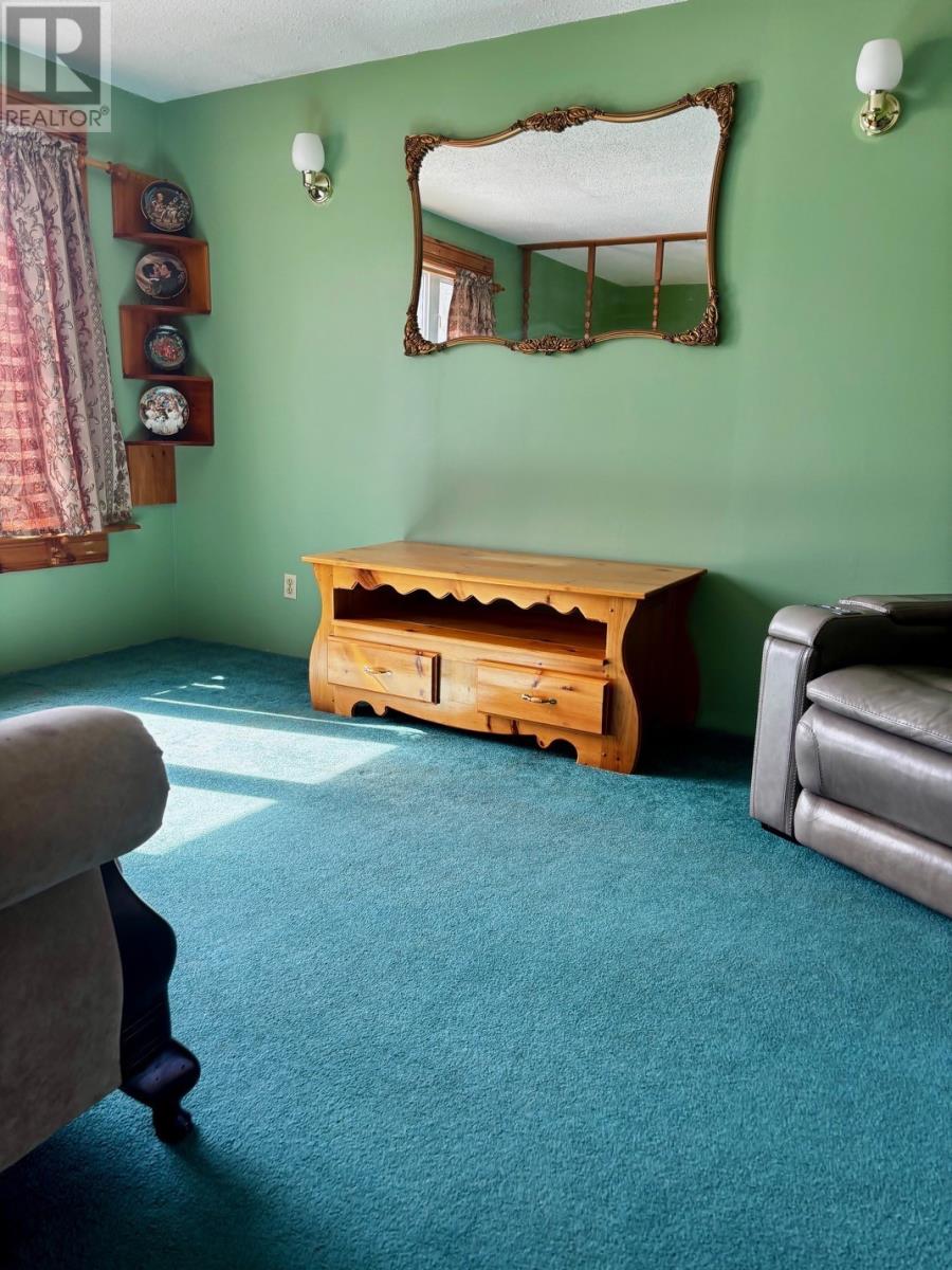 2 Mcwhirters Lane, Corner Brook, Newfoundland & Labrador  A2H 1Y3 - Photo 12 - 1296252