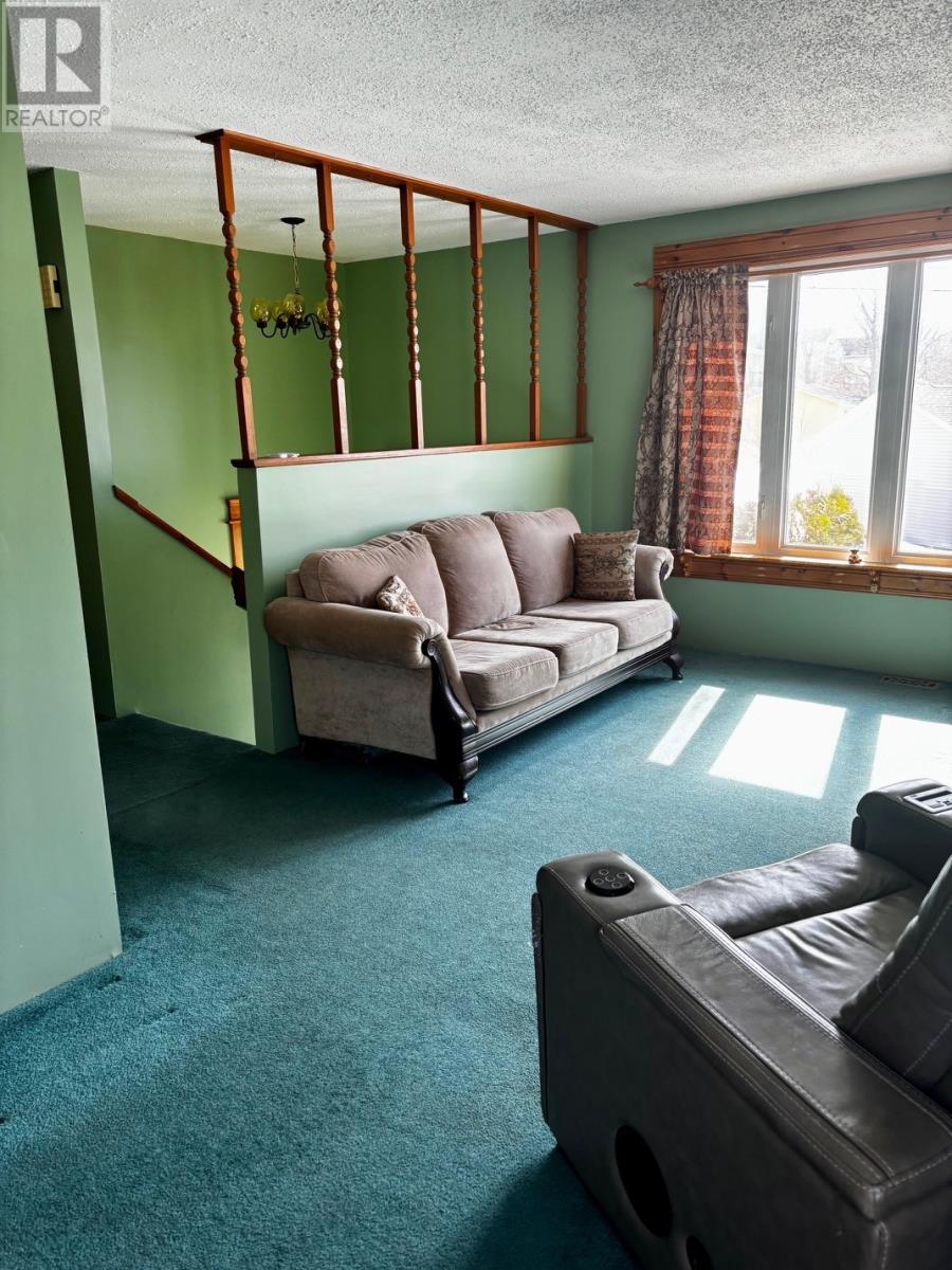 2 Mcwhirters Lane, Corner Brook, Newfoundland & Labrador  A2H 1Y3 - Photo 9 - 1296252