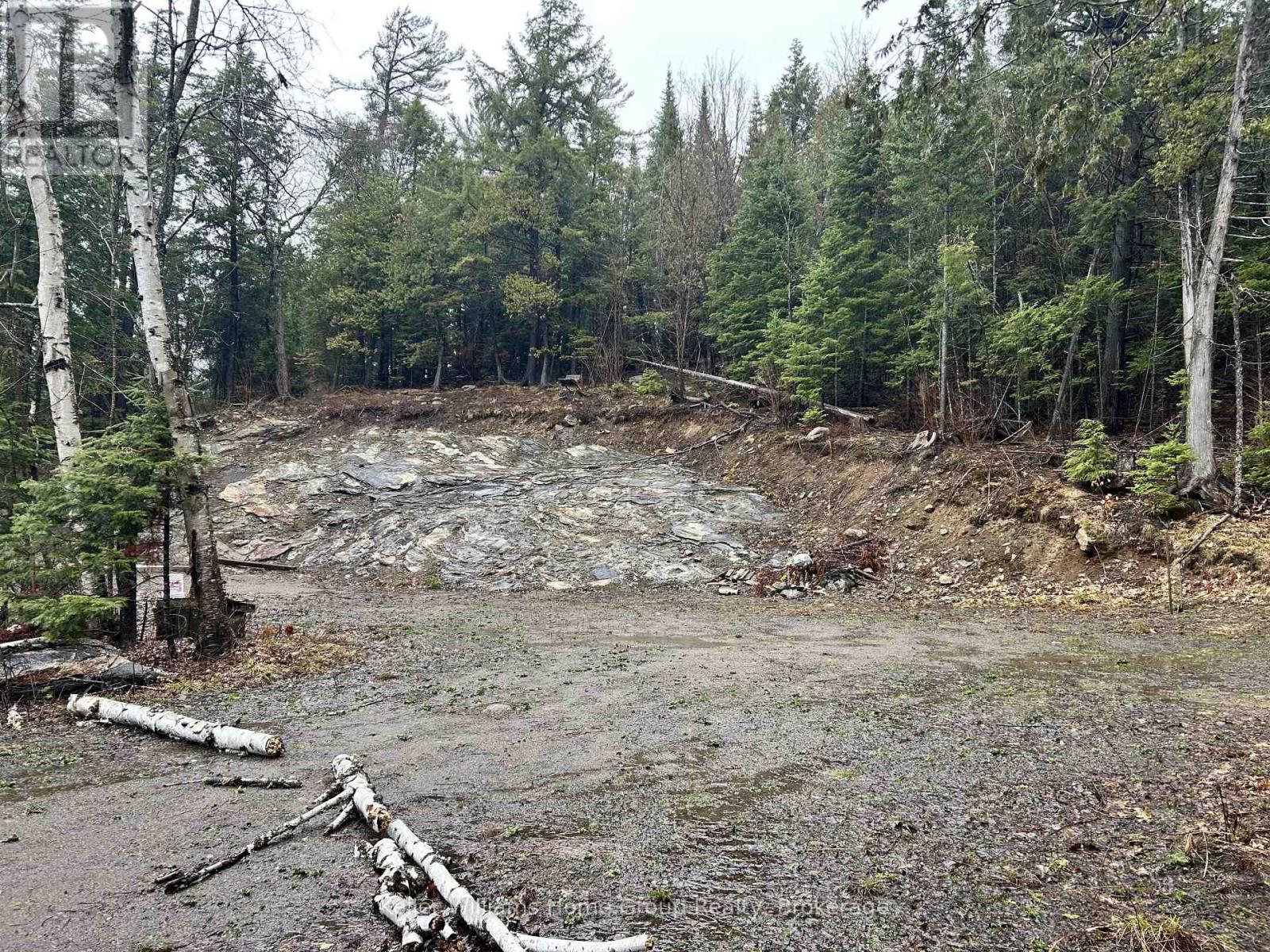 232 Clarke Road, Highlands East, Ontario  K0L 2A0 - Photo 10 - X13023442