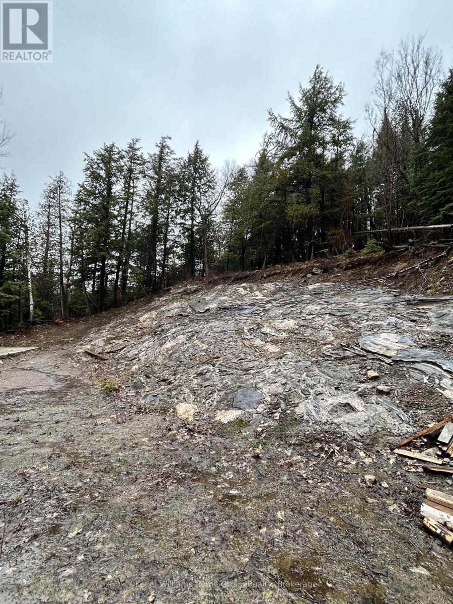 232 Clarke Road, Highlands East, Ontario  K0L 2A0 - Photo 13 - X13023442