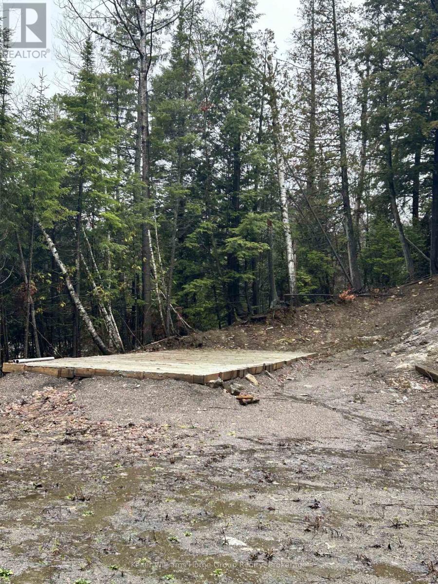 232 Clarke Road, Highlands East, Ontario  K0L 2A0 - Photo 14 - X13023442