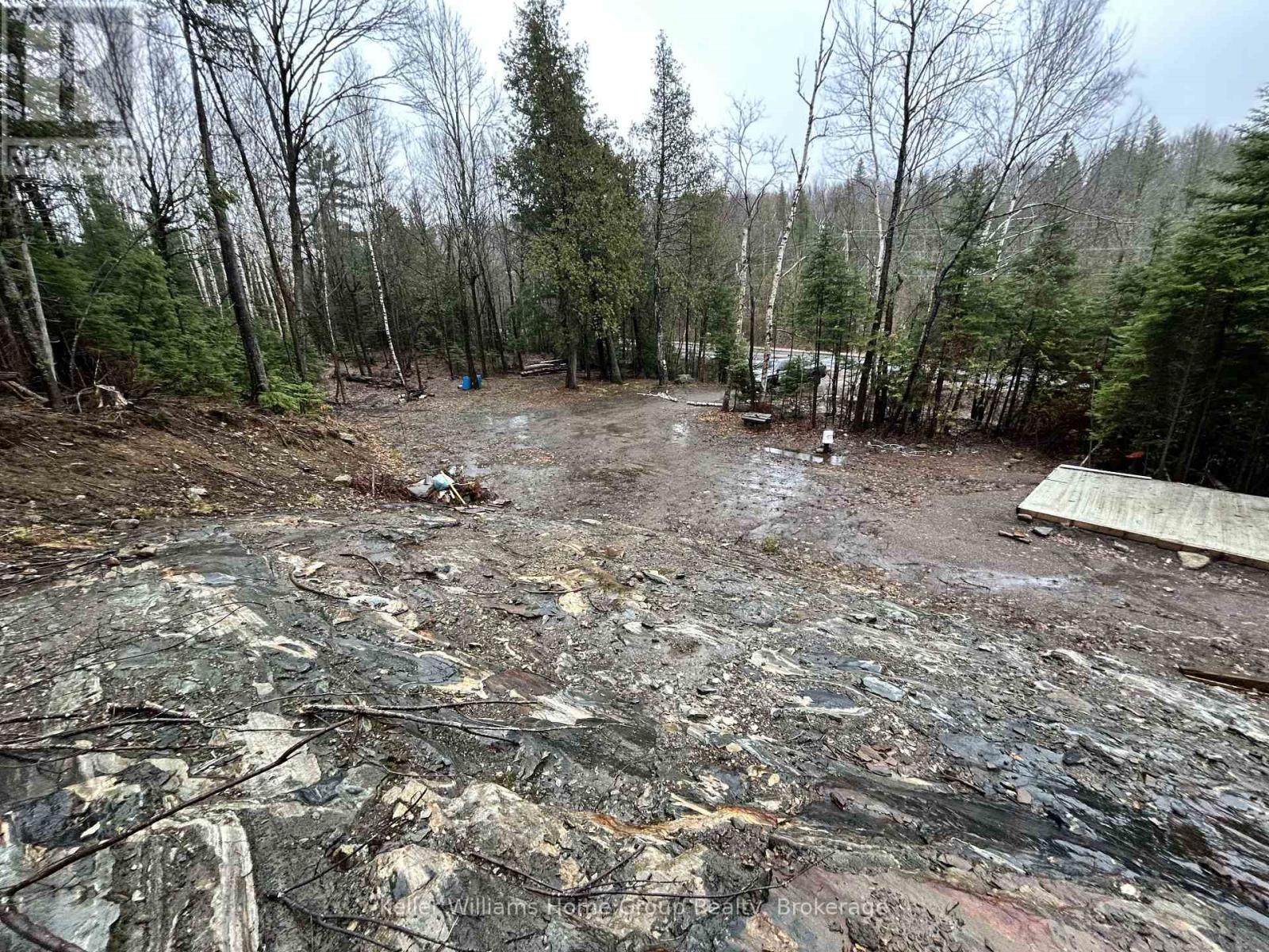 232 Clarke Road, Highlands East, Ontario  K0L 2A0 - Photo 5 - X13023442